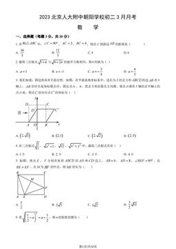2023北京人大附中朝阳学校初二3月月考数学（教师版）-答案