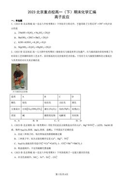 2023北京重点校高一（下）期末化学汇编：离子反应-答案