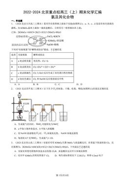 2022-2024北京重点校高三（上）期末化学汇编：氯及其化合物-答案
