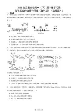 2025北京重点校高一（下）期中化学汇编：化学反应的快慢和限度（鲁科版）（选择题）2-答案