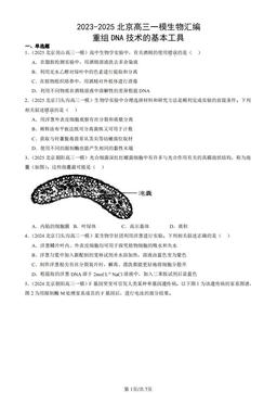 2023-2025北京高三一模生物汇编：重组DNA技术的基本工具-答案