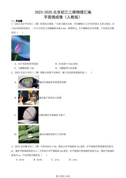 2023-2025北京初三二模物理汇编：平面镜成像（人教版）-答案