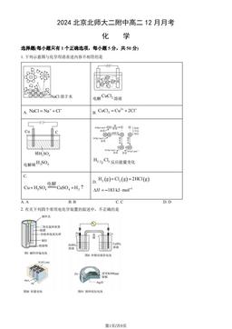 2024北京北师大二附中高二12月月考化学（教师版）-答案