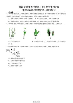 2023北京重点校初二（下）期中生物汇编：生命的起源和生物的进化章节综合-答案