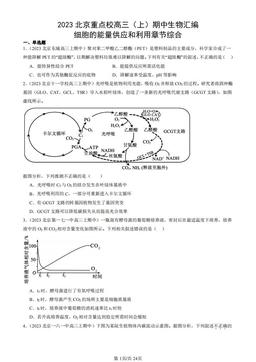 2023北京重点校高三（上）期中生物汇编：细胞的能量供应和利用章节综合-答案