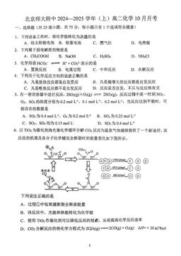 2024北京北师大附中高二10月月考化学-答案