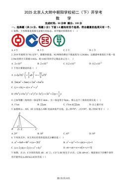 2025北京人大附中朝阳学校初二（下）开学考数学（教师版）-答案