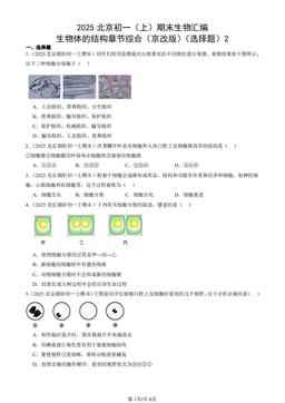 2025北京初一（上）期末生物汇编：生物体的结构章节综合（京改版）（选择题）2-答案