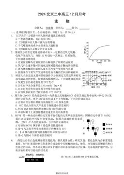 2024北京二中高三12月月考生物（教师版）-答案