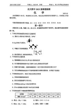 2025北京北大附中高三（下）开学考化学-答案
