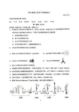 2025北京北师大二附中高三（下）统练二化学-答案