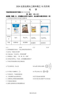 2024北京北师大二附中高三10月月考化学（教师版）-答案
