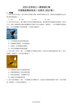 2025北京初三一模物理汇编：平面镜成像的特点（北师大2022版）-答案