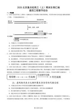 2025北京重点校高三（上）期末生物汇编：基因工程章节综合-答案