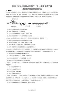2023-2025北京重点校高三（上）期末生物汇编：基因指导蛋白质的合成-答案