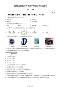 2024北京北师大实验中学初三11月月考物理（教师版）-答案