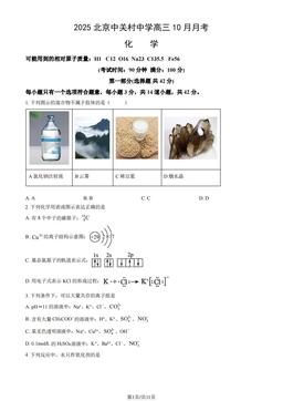 2025北京中关村中学高三10月月考化学（教师版）-答案