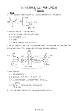 2024北京高三（上）期末化学汇编：有机合成-答案