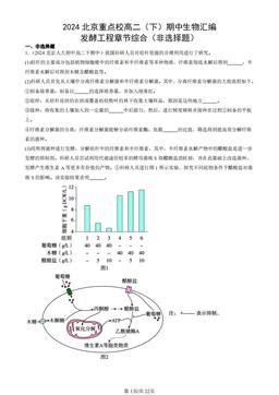 2024北京重点校高二（下）期中生物汇编：发酵工程章节综合（非选择题）-答案