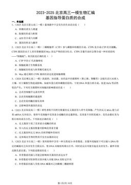 2023-2025北京高三一模生物汇编：基因指导蛋白质的合成-答案