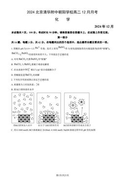 2024北京清华附中朝阳学校高二12月月考化学（教师版）-答案