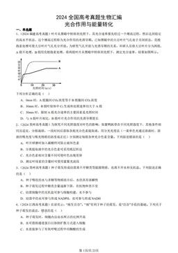 2024全国高考真题生物汇编：光合作用与能量转化-答案