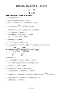2024北京北师大二附中高一3月月考化学（教师版）-答案