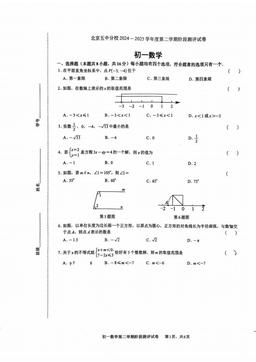 2025北京五中分校初一（下）期中数学-试题