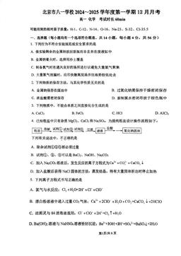 2024北京八一学校高一12月月考化学-答案