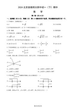 2024北京首都师大附中初一（下）期中数学（教师版）-答案