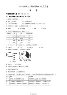 2023北京人大附中高一10月月考化学（教师版）-答案