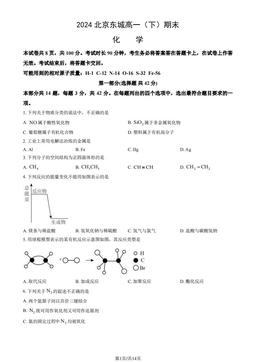 2024北京东城高一（下）期末化学（教师版）-答案