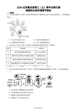 2024北京重点校高三（上）期中生物汇编：细胞的生命历程章节综合-答案