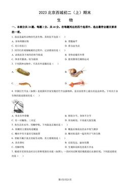 2023北京西城初二（上）期末生物（教师版）-答案