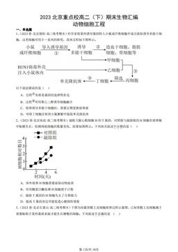 2023北京重点校高二（下）期末生物汇编：动物细胞工程-答案