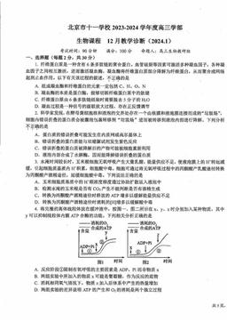 2023北京十一学校高三12月月考生物-答案