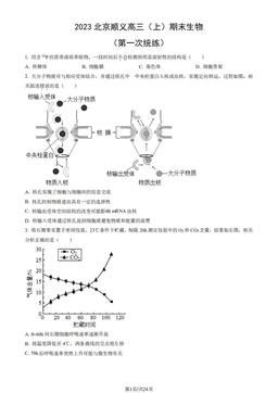 2023北京顺义高三（上）期末生物（第一次统练）（教师版）-答案