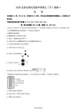 2025北京北师大实验中学高三（下）统练一化学（教师版）-答案