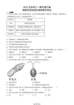 2023北京初二一模生物汇编：细胞怎样构成生物体章节综合-答案
