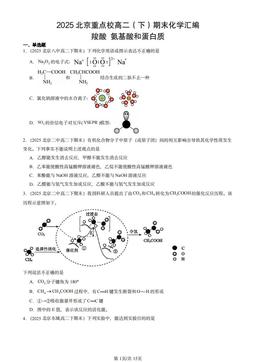 2025北京重点校高二（下）期末化学汇编：羧酸 氨基酸和蛋白质-答案