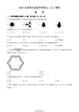 2024北京师大实验中学初三（上）期末数学（教师版）-答案