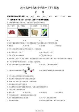 2024北京中关村中学高一（下）期末化学（教师版）-答案