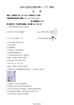2024北京交大附中高一（下）期末化学（教师版）-答案