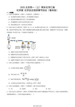 2025北京高一（上）期末化学汇编：化学键 化学反应规律章节综合（鲁科版）-答案