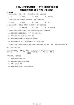 2024北京重点校高一（下）期中化学汇编：电解质的电离 离子反应（鲁科版）-答案