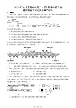 2022-2024北京重点校高二（下）期中生物汇编：基因突变及其它变异章节综合-答案