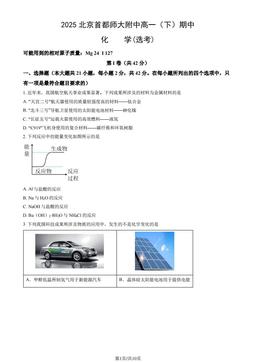 2025北京首都师大附中高一（下）期中化学(选考)（教师版）-答案