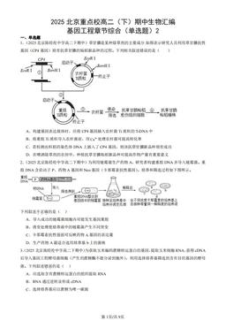 2025北京重点校高二（下）期中生物汇编：基因工程章节综合（单选题）2-答案