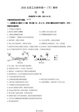 2025北京工大附中高一（下）期中化学（教师版）-答案
