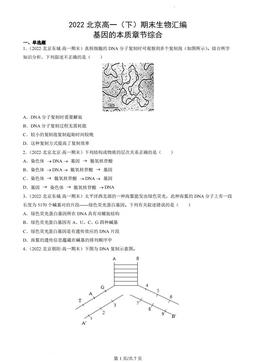 2022北京高一（下）期末生物汇编：基因的本质章节综合-答案